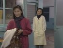 东京爱情故事 (1991)