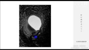 影像创作社区《王建章的摄影课》